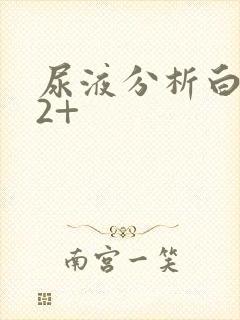 尿液分析白细胞2+