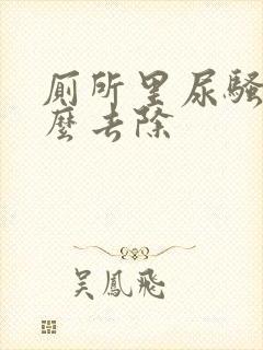 厕所里尿骚味怎么去除