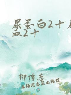 尿蛋白2十尿隐血2十