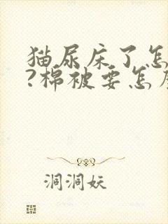 猫尿床了怎么办?棉被要怎么清理?