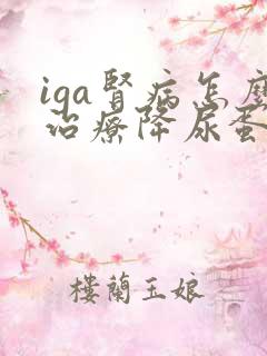 iga肾病怎么治疗降尿蛋白