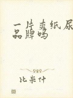 一片爽纸尿裤是品牌吗