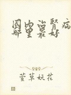 国内治肾病医院哪里最好