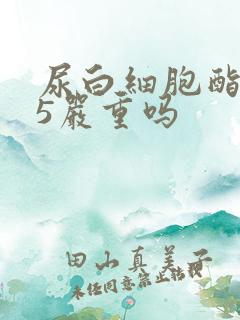 尿白细胞酯酶75严重吗