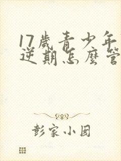 17岁青少年叛逆期怎么管教最合适男孩