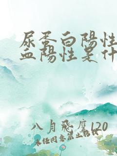 尿蛋白阳性尿潜血阳性是什么意思