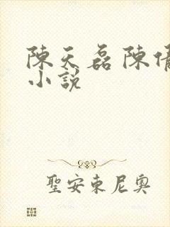 陈天磊 陈倩 小说