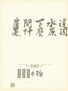 房间下水道反味是什么原因