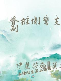 脊椎侧弯支具定制