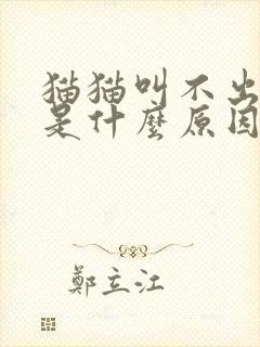 猫猫叫不出声音是什么原因