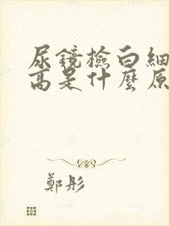 尿镜检白细胞偏高是什么原因