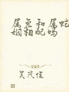 属兔和属蛇的婚姻相配吗