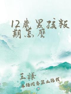 12岁男孩叛逆期怎么