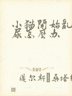 小猫开始乱拉乱尿怎么办