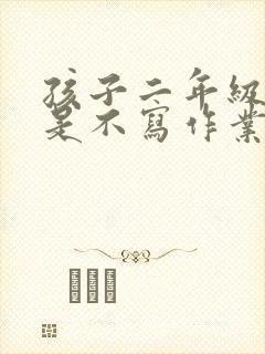 孩子二年级了就是不写作业怎么办