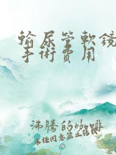 输尿管软镜结石手术费用