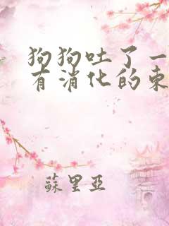 狗狗吐了一堆没有消化的东西怎么办