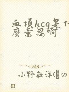 血项hcg是什么意思啊