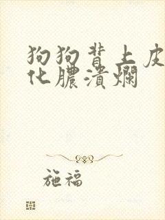 狗狗背上皮肤病化脓溃烂