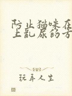 防止猫咪在沙发上乱尿的方法