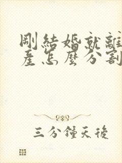 刚结婚就离婚财产怎么分割