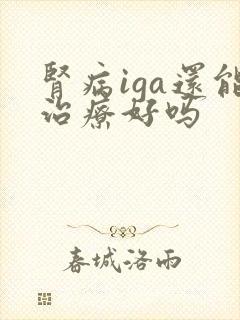 肾病iga还能治疗好吗