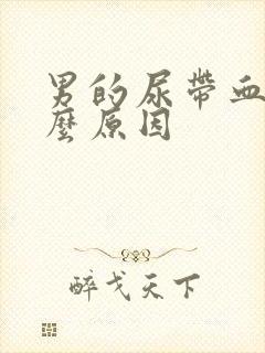 男的尿带血是什么原因