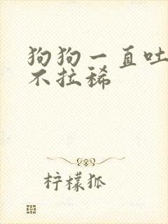 狗狗一直吐黄水不拉稀