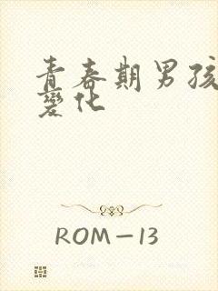 青春期男孩生理变化