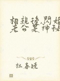 相亲后,闪婚的老公是神秘大佬电子书