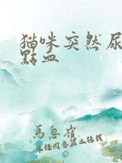 猫咪突然尿了一点血