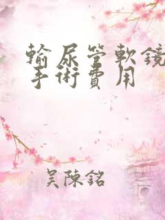 输尿管软镜结石手术费用