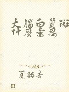 大脑白质斑点是什么意思