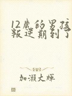 12岁的男孩子叛逆期到了吗