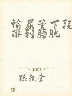 输尿管下段结石排到膀胱