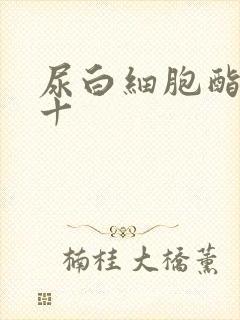 尿白细胞酯酶2十