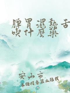 脾胃湿热舌苔黄吃什么药