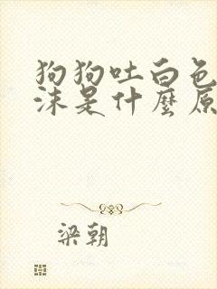 狗狗吐白色的泡沫是什么原因