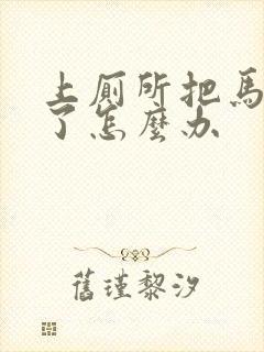 上厕所把马桶堵了怎么办