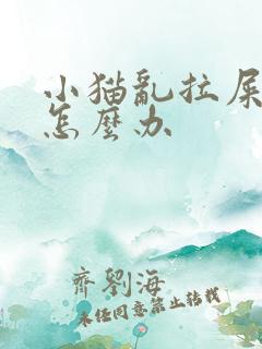 小猫乱拉屎拉尿怎么办