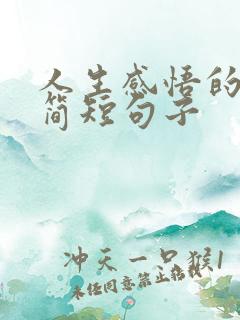 人生感悟的经典简短句子