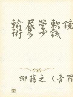 输尿管软镜取石术多少钱