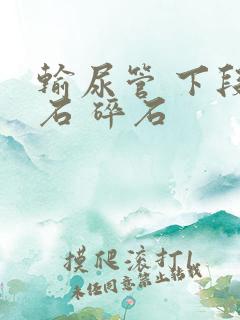 输尿管 下段结石 碎石