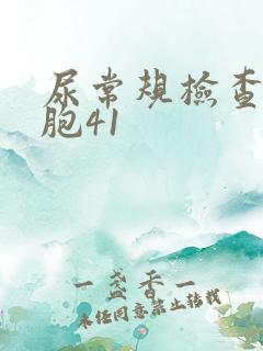 尿常规检查红细胞41