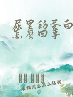 尿里的蛋白高是怎么回事