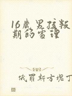 16岁男孩叛逆期的处理