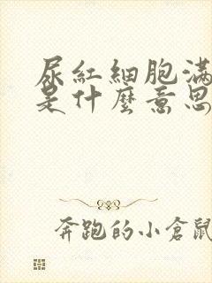 尿红细胞满视野是什么意思