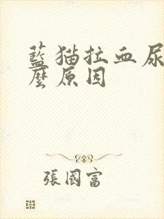 蓝猫拉血尿是什么原因