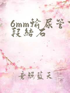 6mm输尿管下段结石