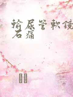 输尿管软镜取结石痛